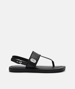 Weareroom.shop8561d5475b 1