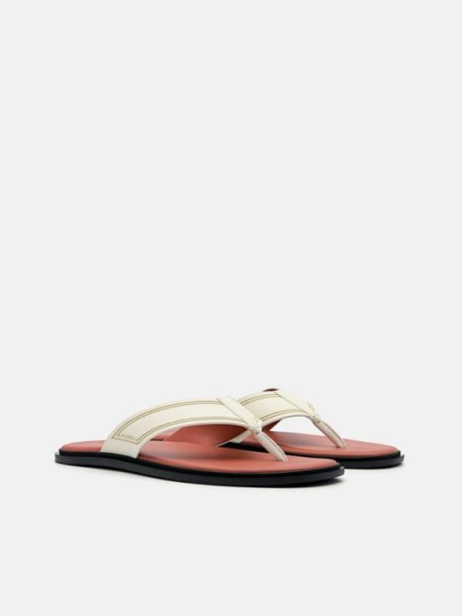 Weareroom.shop9a7f5a833d 2