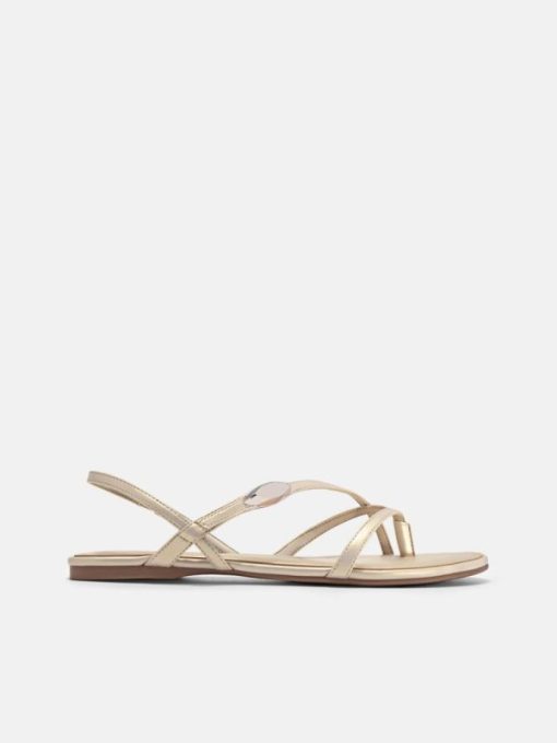 Weareroom.shopc276848671 1