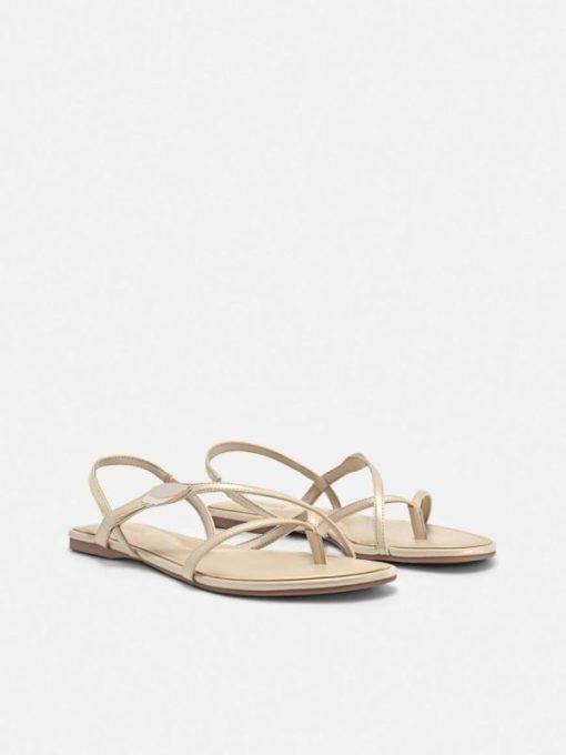 Weareroom.shopc276848671 2